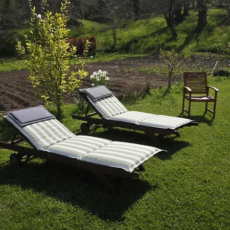Il Castagneto Bed and Breakfast *