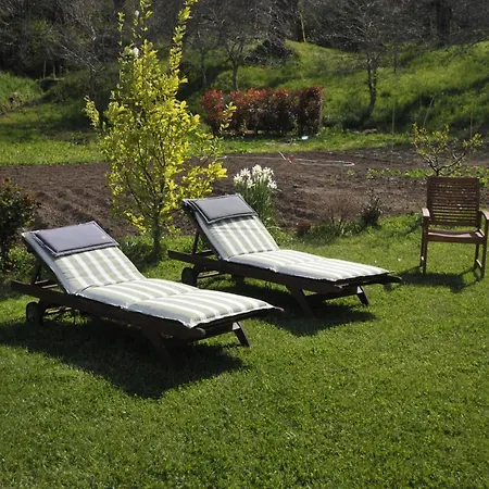 Il Castagneto Bed and breakfast